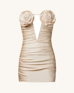 Bailee Apricot Floral Applique And Ruched Tube Mini Dress - Apricot