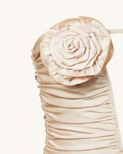 Bailee Apricot Floral Applique And Ruched Tube Mini Dress - Apricot