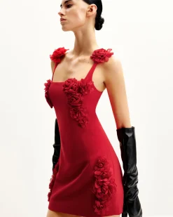Elaina Pink Rosette Applique Mini Dress - Red