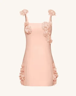 Elaina Pink Rosette Applique Mini Dress - Apricot