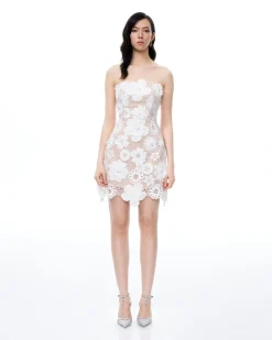 Leander Embroidered Lace Mini Dress - White